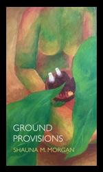 Cover of Ground Provisions