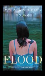 Cover of Flood